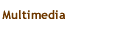 multimedia button